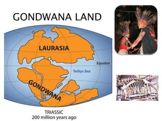 GONDWANA LAND
 