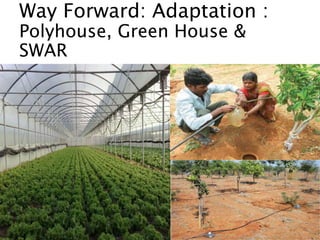 Way Forward: Adaptation :
Polyhouse, Green House &
SWAR
 