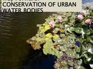 Way Forward:
CONSERVATION OF URBAN
WATER BODIES
 