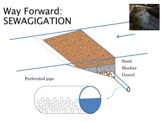 Perforated pipe
Sand
Biochar
Gravel
Way Forward:
SEWAGIGATION
 