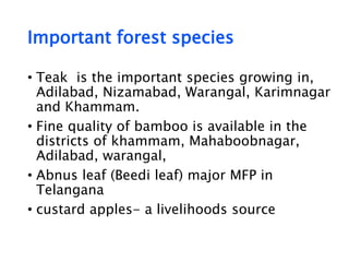 Important forest species
• Teak is the important species growing in,
Adilabad, Nizamabad, Warangal, Karimnagar
and Khammam.
• Fine quality of bamboo is available in the
districts of khammam, Mahaboobnagar,
Adilabad, warangal,
• Abnus leaf (Beedi leaf) major MFP in
Telangana
• custard apples- a livelihoods source
 