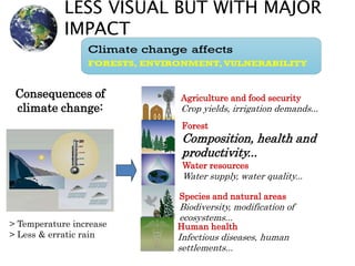 LESS VISUAL BUT WITH MAJOR
IMPACT
> Temperature increase
> Less & erratic rain
Agriculture and food security
Crop yields, irrigation demands...
Forest
Composition, health and
productivity...
Water resources
Water supply, water quality...
Species and natural areas
Biodiversity, modification of
ecosystems...
Human health
Infectious diseases, human
settlements...
Consequences of
climate change:
 
