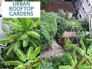 URBAN
ROOFTOP
GARDENS
 
