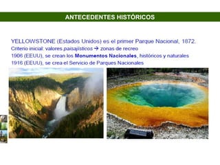 ANTECEDENTES HISTÓRICOS
 