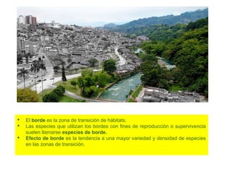  El borde es la zona de transición de hábitats.
 Las especies que utilizan los bordes con fines de reproducción o supervivencia
suelen llamarse especies de borde.
 Efecto de borde es la tendencia a una mayor variedad y densidad de especies
en las zonas de transición.
 