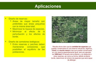 Aplicaciones
 Diseño de reservas:
 Áreas de mayor tamaño son
preferibles que áreas pequeñas
con la misma área total.
 Maximizar la riqueza de especies.
 Minimizar el efecto de la
perturbación y los efectos de
borde.
 Diseño de corredores biológicos:
 Entre reservas o parches deben
mantenerse conexiones que
posibiliten el equilibrio de las
poblaciones.
Resulta ahora claro que la cantidad de especies que
pueden conservarse en una reserva natural de, digamos,
5 km2, es mucho menor a las que pueden conservarse
en una reserva aparentemente igual, pero por ejemplo,
de 1000 km2. El tamaño de la reserva, y su distancia a
otras reservas, así como su forma, debido al efecto
borde, determinan el número de especies que será capaz
de albergar.
 