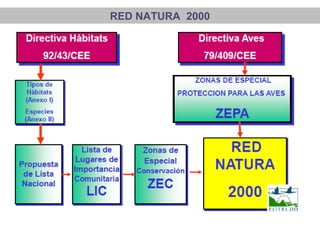 RED NATURA 2000
 