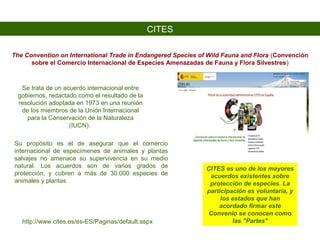 CITES es uno de los mayores
acuerdos existentes sobre
protección de especies. La
participación es voluntaria, y
los estados que han
acordado firmar este
Convenio se conocen como
las "Partes"
The Convention on International Trade in Endangered Species of Wild Fauna and Flora (Convención
sobre el Comercio Internacional de Especies Amenazadas de Fauna y Flora Silvestres)
CITES
Se trata de un acuerdo internacional entre
gobiernos, redactado como el resultado de la
resolución adoptada en 1973 en una reunión
de los miembros de la Unión Internacional
para la Conservación de la Naturaleza
(IUCN).
Su propósito es el de asegurar que el comercio
internacional de especímenes de animales y plantas
salvajes no amenace su supervivencia en su medio
natural. Los acuerdos son de varios grados de
protección, y cubren a más de 30.000 especies de
animales y plantas
http://www.cites.es/es-ES/Paginas/default.aspx
 