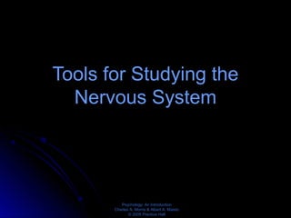 Psychology: An Introduction
Charles A. Morris & Albert A. Maisto
© 2005 Prentice Hall
Tools for Studying the
Nervous System
 