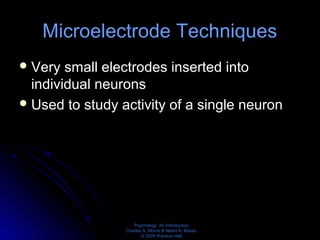 Psychology: An Introduction
Charles A. Morris & Albert A. Maisto
© 2005 Prentice Hall
Microelectrode Techniques
Very small electrodes inserted into
individual neurons
Used to study activity of a single neuron
 