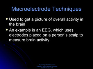 Psychology: An Introduction
Charles A. Morris & Albert A. Maisto
© 2005 Prentice Hall
Macroelectrode Techniques
Used to get a picture of overall activity in
the brain
An example is an EEG, which uses
electrodes placed on a person’s scalp to
measure brain activity
 