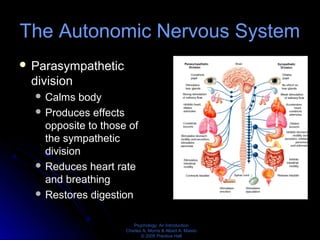 Psychology: An Introduction
Charles A. Morris & Albert A. Maisto
© 2005 Prentice Hall
The Autonomic Nervous System
 Parasympathetic
division
 Calms body
 Produces effects
opposite to those of
the sympathetic
division
 Reduces heart rate
and breathing
 Restores digestion
 