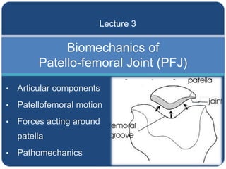 Biomechanics of
Patello-femoral Joint (PFJ)
• Articular components
• Patellofemoral motion
• Forces acting around
patella
• Pathomechanics
Lecture 3
 