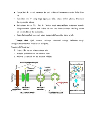  Pompa Na+- K- bekerja memompa ion Na+ ke luar sel dan memasukkan ion K- ke dalam
sel.
 Konsentrasi ion K+ yang tinggi diperlukan untuk sintesis protein, glikosis, fotosintesis
dan proses vital lainnya.
 Keberadaan ion-ion Na+ dan K+ penting untuk mengendalikan pengaturan osmosis,
mempertahankan kegiatan listrik dalam sel saraf dan memacu transpor aktif bagi zat-zat
lain seperti glukosa dan asam amino.
 Dalam beberapa hal, kombinasi antara transpor aktif dan difusi dapat terjadi.
Transpor aktif terjadi melawan kemiringan konsentrasi sehingga melibatkan energi.
Transpor aktif melibatkan reseptor dan transportes.
Transpor aktif terdiri dari :
1. Uniport, jika macam zat dan arahnya satu.
2. Symport, jika macam zat dua dan arah sama.
3. Antiport, jika macam zat dua dan arah berbeda.
 