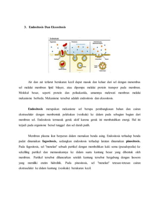 3. Endositosis Dan Eksositosis
Air dan zat terlarut berukuran kecil dapat masuk dan keluar dari sel dengan menembus
sel melalui membran lipid bilayer, atau dipompa melalui protein transpor pada membran.
Molekul besar, seperti protein dan polisakarida, umumnya melewati membran melalui
mekanisme berbeda. Mekanisme tersebut adalah endositosis dan eksositosis.
Endositosis merupakan mekanisme sel berupa pembungkusan bahan dan cairan
ekstraseluler dengan membentuk pelekukan (vesikula) ke dalam pada sebagian bagian dari
membran sel. Endositosis termasuk gerak aktif karena gerak ini membutuhkan energi. Hal ini
terjadi pada organisme bersel tunggal dan sel darah putih.
Membran plasma ikut berperan dalam memakan benda asing. Endositosis terhadap benda
padat dinamakan fagositosis, sedangkan endositosis terhadap larutan dinamakan pinositosis.
Pada fagositosis, sel "menelan" sebuah partikel dengan membelitkan kaki semu (pseudopodia) ke
sekeliling partikel dan memasukannya ke dalam suatu kantung besar yang dibentuk oleh
membran. Partikel tersebut dihancurkan setelah kantung tersebut bergabung dengan lisosom
yang memiliki enzim hidrolitik. Pada pinositosis, sel "menelan" tetesan-tetesan cairan
ekstraseluler ke dalam kantung (vesikula) berukuran kecil.
 