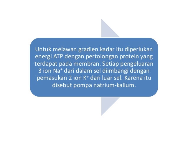 Contoh Peristiwa Difusi Zat Cair - JobsDB Contoh Peristiwa Difusi Zat Cair - JobsDB