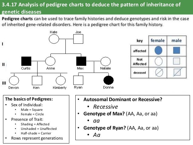 Pedigree Chart Inheritance Patterns