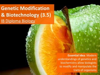 Genetic Modification
& Biotechnology (3.5)
IB Diploma Biology
Essential Idea: Modern
understandings of genetics and
biochemistry allow biologists
to modify and manipulate the
traits of organisms
 