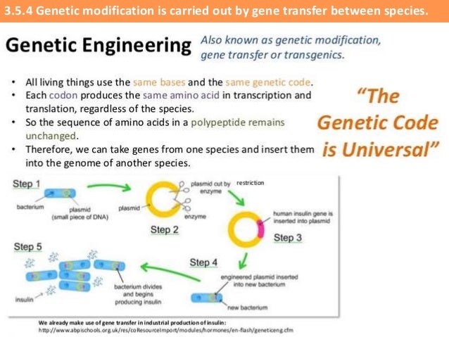 ib biology 3 5 slides genetic modification biotechnology