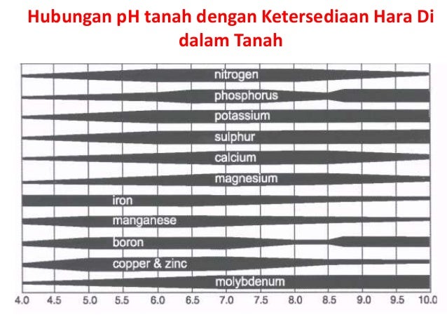 bandar togel unsur tanah
