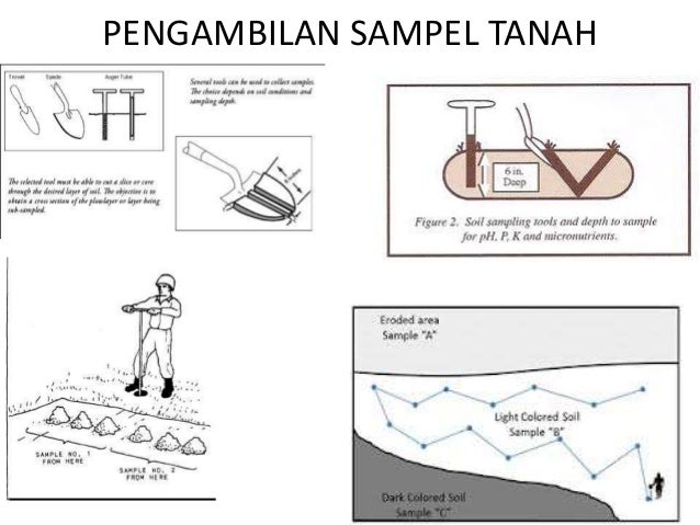 3 Teknik Pemanfaatan Unsur Hara