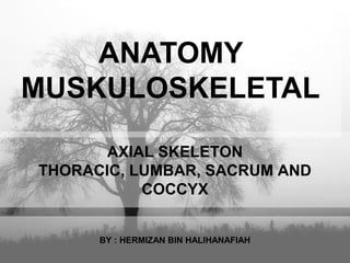 ANATOMY
MUSKULOSKELETAL
AXIAL SKELETON
THORACIC, LUMBAR, SACRUM AND
COCCYX
BY : HERMIZAN BIN HALIHANAFIAH
 