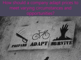 How should a company adapt prices to
meet varying circumstances and
opportunities?
 