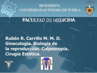 1
Rubén R. Carrillo M. M. D.
Ginecología. Biología de
la reproducción. Colposcopia.
Cirugía Estética.
 