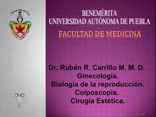 1
Dr. Rubén R. Carrillo M. M. D.
Ginecología.
Biología de la reproducción.
Colposcopia.
Cirugía Estética.
 