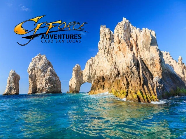 Los Cabos Activities Tours Adventures Tours Cabo Attractions Los Cabos Activities Tours Adventures Tours Cabo Attractions