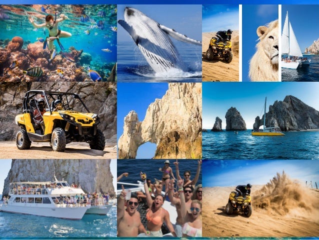 The 10 Best El Arco Tours, Trips & Tickets - Los Cabos | Viator Activities in los cabo mexico