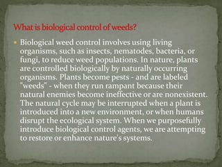 3. Biological control of weeds A Lecture By Allah Dad Khan | PPTX