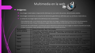 Multimedia en la web
 Imágenes:
 Una imagen rasterizada o mapa de bits (bitmap) es una matriz de puntos, denominados píxeles.
 Una imagen vectorial es un conjunto de elementos geométricos definidos por sus atributos matemáticos.
 La calidad de una imagen digital viene definida por dos características:
Profundidad de color.- es el número de colores que tiene una imagen. Lo determina el número de bits que almacenan la
información del color. Tal que 1 bit (blanco y negro), 8 bits (256 colores), 16 bits (65.536), 24 bits (16,7 millones).
Compresión de la información.- es la forma en que se almacena la información de la imagen en relación al tamaño que ocupa.
A mayor compresión, mayor pérdida de información y menor tamaño de archivo.
 