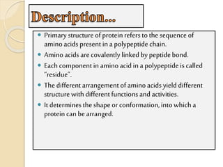 Primary and Secondary Structure of Protein PPT