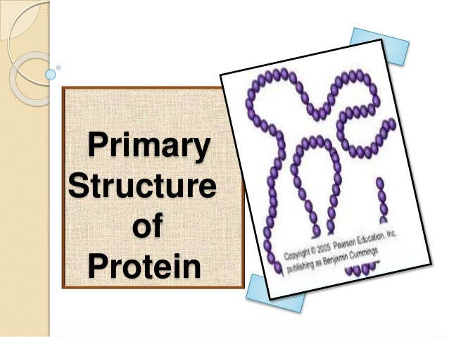 download free primary structure of protein download free primary structure of protein