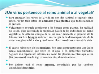 ¿Un virus pertenece al reino animal o al vegetal?
 Para empezar, los reinos de la vida no son dos (animal o vegetal), sino
cinco. Por un lado están los animales y las plantas, que todos sabemos
lo que son.
 Vulgarmente, se suele considerar a los hongos como plantas. En realidad
no lo son, pues carecen de la propiedad básica de los individuos del reino
vegetal; la de obtener energía de la luz solar mediante el proceso de la
fotosíntesis. Los hongos obtienen su energía de la descomposición de la
materia orgánica del suelo, y conforman el tercero de los reinos de la vida.
 El cuarto reino es el de los protistas. Son seres compuestos por una única
célula (unicelulares), que viven en el agua o en ambientes húmedos.
Algunos son capaces de fotosíntesis, como las plantas, mientras que otros
(los protozoos) han de ingerir su alimento, al modo animal.

 Por último, está el reino monera, constituido por las también
unicelulares bacterias.
 