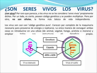 ¿SON SERES VIVOS LOS VIRUS?
¿Los virus? Por raro que parezca, a los virus no se los considera 'seres vivos' propiamente
dichos. Por un lado, es cierto, poseen código genético y se pueden multiplicar. Pero por
otro, no son células, la forma más básica de vida independiente.
Los virus son casi casi 'código genético puro'. Carecen por completo de la maquinaria
necesaria para proveerse de energía o replicarse. La única manera de conseguir ambas
cosas es introducirse en una célula (de animal, vegetal, hongo, protista o monera) y
emplear todas sus estructuras en beneficio propio.
 