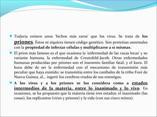  Todavía existen unos 'bichos más raros' que los virus. Se trata de los
priones. Éstos ni siquiera tienen código genético. Son proteínas anormales
con la propiedad de infectar células y multiplicarse a sí mismas.
 El prion más famoso es el que ocasiona la 'enfermedad de las vacas locas' y su
variante humana, la enfermedad de Creutzfeld-Jacob. Otras enfermedades
humanas producidas por priones son el insomnio familiar fatal, y el kuru. El
kuru debe de ser la enfermedad con el mecanismo de transmisión más
peculiar que haya existido: se transmitía entre los caníbales de la tribu Foré de
Nueva Guinea, al… ingerir los cerebros crudos de sus enemigos.
 A los virus y a los priones se los considera como a estados
intermedios de la materia, entre lo inanimado y lo vivo. En
ocasiones, se ha propuesto que la materia tiene tres estados: el inanimado (las
cosas), los replicantes (virus y priones) y la vida (con sus cinco reinos).
 
