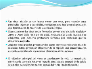Un virus aislado es tan inerte como una roca, pero cuando estas
partículas ingresan a las células, comienzan una fase de multiplicación
que termina con la muerte de la célula infectada.
Esencialmente los virus están formados por un tipo de ácido nucleído,
ADN o ARN (sólo uno de los dos). Rodeando al ácido nucleído se
encuentra una cubierta protectora formada por proteínas que se
denomina cápside.
Algunos virus pueden presentar dos capas proteicas rodeando al ácido
nucleico. Otros presentan alrededor de la cápside una envoltura con
estructura similar a la membrana plasmática de las células.
El objetivo principal del virus es apoderarse de toda la maquinaria
sintética de la célula. Una vez logrado esto, toda la energía de la célula
se emplea para fabricar nuevas copias del virus (multiplicación).
 