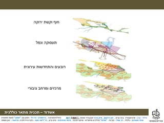 ‫מילול‬–‫קורן‬–‫ערים‬ ‫ובינוי‬ ‫ארכיטקטורה‬,‫דרוקמן‬ ‫זאב‬,‫טרנר‬ ‫מייק‬‫ושימור‬ ‫פיזי‬ ‫תכנון‬,
‫אשדוד‬–‫תכנית‬‫מתאר‬‫כוללנית‬
‫אינטגרטיבי‬ ‫ניהול‬,‫גרינשטיין‬–‫גיל‬ ‫הר‬–‫נוף‬ ‫תכנון‬,"‫אמאב‬"‫ותחבורה‬ ‫תנועה‬
‫פסטרנק‬ ‫אהוד‬–‫כלכלה‬,‫אמיר‬ ‫דני‬–‫סביבה‬,"‫מודוס‬"‫תהליכים‬‫שיתופיים‬–‫הציבור‬ ‫שיתוף‬,‫מהנדסים‬ ‫איחוד‬–‫וביוב‬ ‫מים‬,‫דר‬'‫אסף‬ ‫ליאור‬–‫והידרולוגיה‬ ‫ניקוז‬,‫טוייסטר‬–‫משפטי‬ ‫יעוץ‬
‫מילול‬–‫קורן‬–‫ערים‬ ‫ובינוי‬ ‫ארכיטקטורה‬,‫דרוקמן‬ ‫זאב‬,‫טרנר‬ ‫מייק‬‫ושימור‬ ‫פיזי‬ ‫תכנון‬,
‫אשדוד‬–‫תכנית‬‫מתאר‬‫כוללנית‬
‫אינטגרטיבי‬ ‫ניהול‬,‫גרינשטיין‬–‫גיל‬ ‫הר‬–‫נוף‬ ‫תכנון‬,"‫אמאב‬"‫ותחבורה‬ ‫תנועה‬
‫פסטרנק‬ ‫אהוד‬–‫כלכלה‬,‫אמיר‬ ‫דני‬–‫סביבה‬,"‫מודוס‬"‫תהליכים‬‫שיתופיים‬–‫הציבור‬ ‫שיתוף‬,‫מהנדסים‬ ‫איחוד‬–‫וביוב‬ ‫מים‬,‫דר‬'‫אסף‬ ‫ליאור‬–‫והידרולוגיה‬ ‫ניקוז‬,‫טוייסטר‬–‫משפטי‬ ‫יעוץ‬
‫ירוקה‬ ‫וקשת‬ ‫חוף‬
‫ונמל‬ ‫תעסוקה‬
‫עירונית‬ ‫והתחדשות‬ ‫רובעים‬
‫ציבורי‬ ‫ומרחב‬ ‫מרכזים‬
 