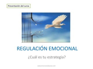 REGULACIÓN EMOCIONAL
¿Cuál es tu estrategia?
Presentación del curso
www.emocionesbasicas.com
 