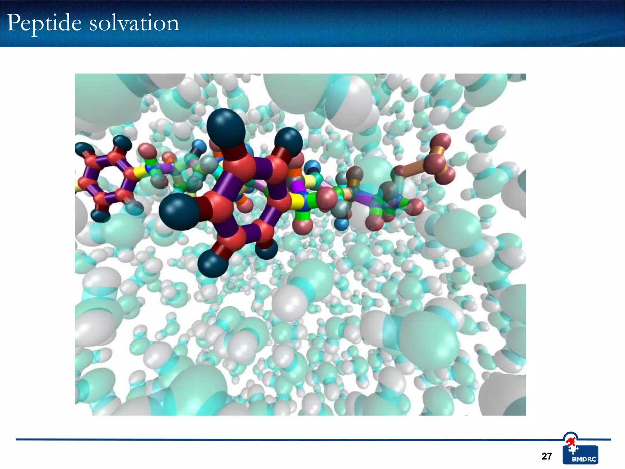 27
Peptide solvation
 