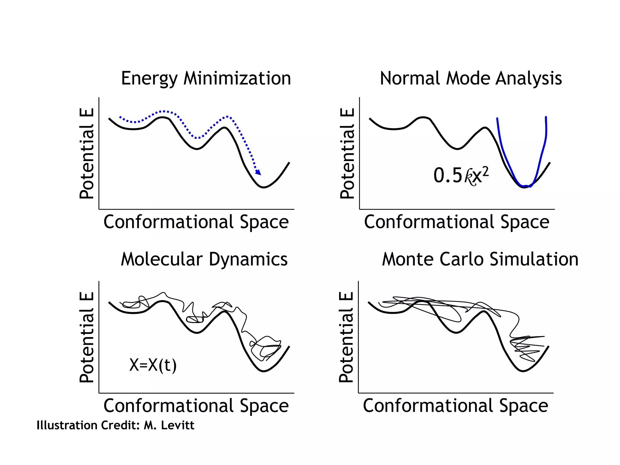 PotentialE
Conformational Space
PotentialE
Conformational Space
PotentialE
Conformational Space
PotentialE
Conformational Space
Energy Minimization Normal Mode Analysis
Molecular Dynamics Monte Carlo Simulation
Illustration Credit: M. Levitt
0.5kx2
X=X(t)
 
