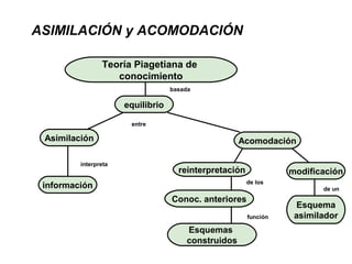 ASIMILACIÓN y ACOMODACIÓN
modificación
Esquema
asimilador
Teoría Piagetiana de
conocimiento
equilibrio
Asimilación Acomodación
información
reinterpretación
Conoc. anteriores
Esquemas
construidos
basada
entre
interpreta
de los
función
de un
 