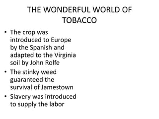THE WONDERFUL WORLD OF
TOBACCO
• The crop was
introduced to Europe
by the Spanish and
adapted to the Virginia
soil by John Rolfe
• The stinky weed
guaranteed the
survival of Jamestown
• Slavery was introduced
to supply the labor
 
