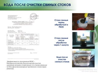 ВОДА ПОСЛЕ ОЧИСТКИ СВИНЫХ СТОКОВ
Стоки свиные
после
обработки
через 1 минуту
Эффективность применения РВЭС –
бактериологическая, биологическая очистка,
удаление запахов и осветление с/х стоков в режиме
on-line (физическое время протекания стоков через
реактор).
Copyright © ―КАСКАД‖ 2015
Все права защищены
Стоки свиные
перед
обработкой в
РВЭС
Вода после
очистки
свиных стоков
 