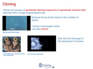 Cloning
Clones are groups of genetically identical organisms or genetically identical cells
deriving from a single original parent cell.
https://youtu.be/KIpcCyuypzg
https://youtu.be/sOBvRhXIJN4
Bacterial binary fusion leads to the creation of
clones
See how the cleavage of
the blastocyst in humans.
http://multiples.about.com/library/photoga
l/photos/blgal68.jpg
Human monozygotic twins
are also clones
 