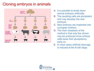 Cloning embryos in animals
A. It is possible to break down
animal embryos artificially.
B. The resulting cells are pluripotent
and may develop into new
embryos
C. New embryos are implanted into
surrogate mothers.
D. The main drawback of the
method is that only few clones
may be produced since embryo
cells loose their pluripotency
early on.
E. In most cases artificial cleavage
is induced at the 8-cell stage.
 