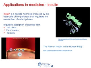 Applications in medicine - insulin
http://proteopedia.org/wiki/index.php/Molecular_Playgrou
nd/Insulin
Insulin is a peptide hormone produced by the
beta-cells of the pancreas that regulates the
metabolism of carbohydrates.
regulates absorption of glucose from
 the blood
 the muscles,
 fat cells
The Role of Insulin in the Human Body
https://www.youtube.com/watch?v=OYH1deu7-4E
 