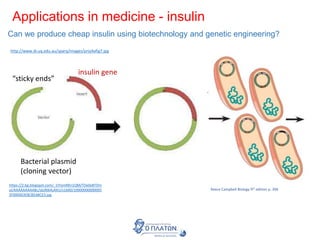 Applications in medicine - insulin
Can we produce cheap insulin using biotechnology and genetic engineering?
http://www.di.uq.edu.au/sparq/images/proj4afig7.jpg
insulin gene
Bacterial plasmid
(cloning vector)
“sticky ends”
https://2.bp.blogspot.com/_1IYomRKn1QM/TDx0eBTDm
yI/AAAAAAAAABc/sbJf664uKKU/s1600/10000000000005
2F000003E8CBEA8CE5.jpg
Reece Campbell Biology 9th edition p. 394
 